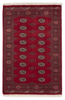 Pakistan Buchara 2ply 188x124
