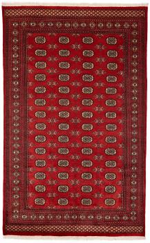 Pakistan Buchara 2ply 287x179