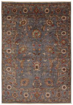 Shaal 251x174