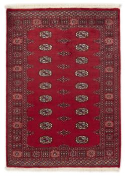 Pakistan Buchara 2ply 180x128