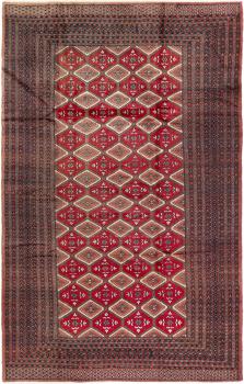 Pakistan Bukhara 3ply 290x185