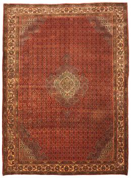 ビジャー 423x304