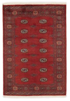 Pakistan Buchara 2ply 184x126