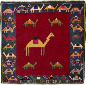 Shiraz 64x69