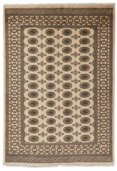 Pakistan Buchara 2ply 244x170