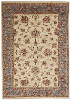 Arijana Shaal 244x175