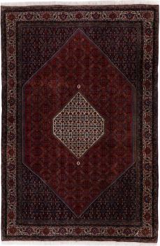 Bidjar 296x202
