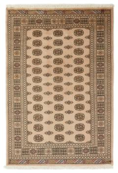 Pakistan Buchara 2ply 243x167