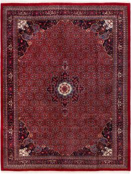 Indo Bidżar 395x304