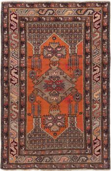 Shirwan 179x116