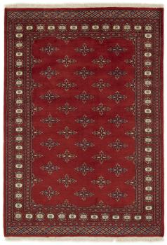 Pakistan Buchara 2ply 196x135