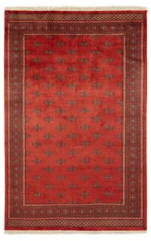 Pakistan Buchara 2ply 303x197