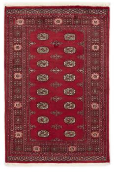 Pakistan Buchara 2ply 186x124