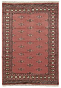 Pakistan Buchara 2ply 199x138