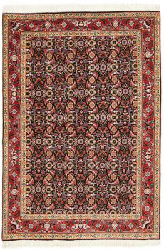 Tabriz 50Raj Mahi 152x105