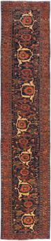 Bidjar 551x116