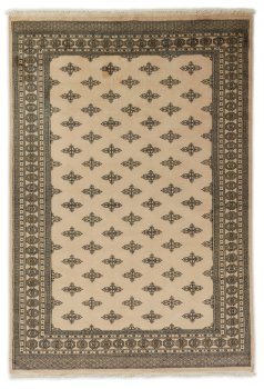 Pakistan Buchara 2ply 290x197