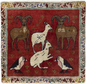 Shiraz 54x56