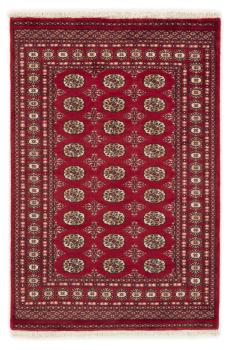 Pakistan Buchara 2ply 188x125