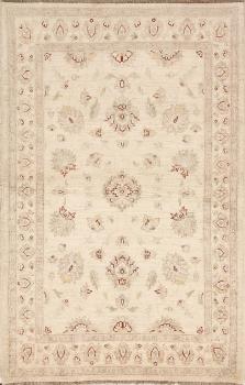 Ziegler 179x120