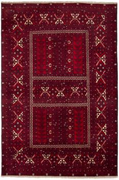 Afghan Mauri 236x155