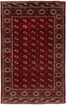 Turkaman 389x241