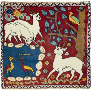Shiraz 64x66