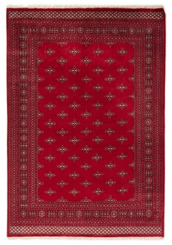 Pakisztáni Buchara 2ply 314x217