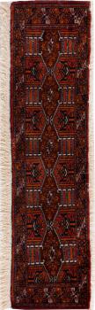 Turkaman 31x127