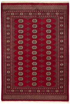 Pakistan Buchara 2ply 250x171