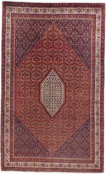 Bidjar 335x230