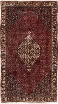 Bidjar 239x137