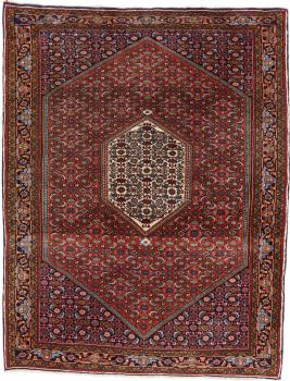 Bidjar 151x115