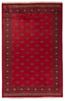 Pakistan Buchara 2ply 314x204
