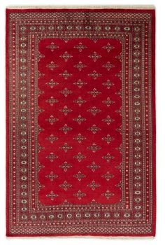 Pakistan Buchara 2ply 302x200