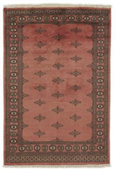 Pakistan Buchara 2ply 209x142