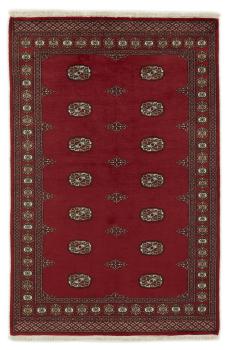 Pakistan Buchara 2ply 209x137