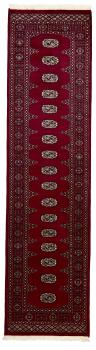 Pakistan Buchara 2ply 299x79