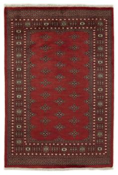 Pakistan Buchara 2ply 205x139