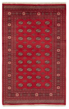 Pakistan Buchara 2ply 311x203