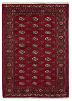 Pakistan Buchara 3ply 238x168
