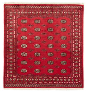 Pakisztáni Buchara 2ply 204x196