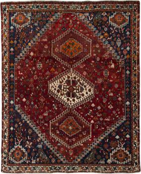 Shiraz 214x174
