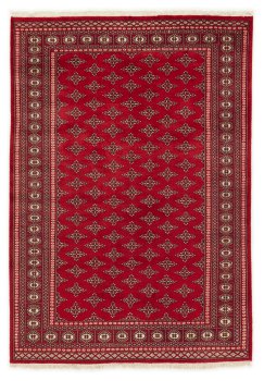 Pakistan Buchara 2ply 246x172