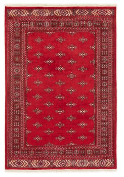 Pakistan Buchara 2ply 248x171