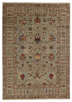 Arijana Shaal 251x177