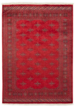 Pakistan Buchara 2ply 235x170