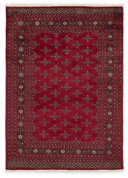 Pakistan Buchara 3ply 236x170
