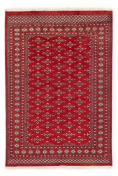 Pakistan Buchara 2ply 238x165
