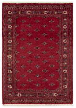 Pakistan Buchara 3ply 241x169
